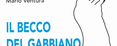 Il becco del gabbiano